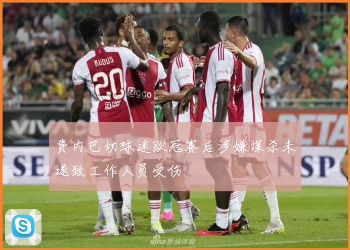 费内巴切球迷欧冠赛后涉嫌谋杀未遂致工作人员受伤