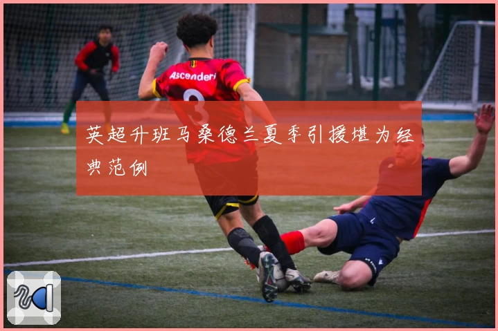 英超升班马桑德兰夏季引援堪为经典范例